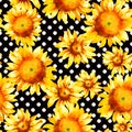 Sunflowers, hand pain watercolor seamless pattern