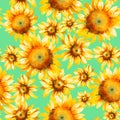 Sunflowers, hand pain watercolor seamless pattern