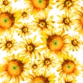 Sunflowers hand paint watercolor seamless pattern