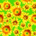 Sunflowers hand paint watercolor seamless pattern