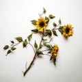 Deconstructed Sunflower Branch: A Sensitivity To The Natural World
