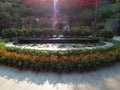 Sunflowers and lotus flowers greeting visitors at the entrance of a local park