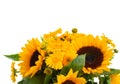 Sunflowers and marigold flowers close up Royalty Free Stock Photo