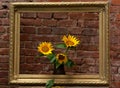 Sunflowers and old frame