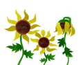 Sunflowers Painting