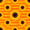 Sunflowers pattern seamless, Sunflowers striped repeating background Vector illustration