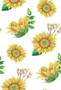 Sunflowers pattern. Watercolor rustic floral. Country flowers