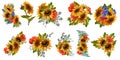 Sunflowers, poppies, cornflowers, daisies. Big set, autumn colors, sunflowers, botanical painting. Bouquets