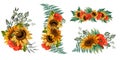 Sunflowers, poppies, cornflowers, daisies. Big set, autumn colors, sunflowers, botanical painting. Bouquets