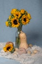 Sunflowers, pumpkin, onions, potatoes Royalty Free Stock Photo