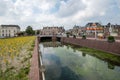 Sunflowers on the quay of a new canal in Delft, Netherlands