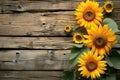 sunflowers on rustic wooden background many wooden slats Royalty Free Stock Photo