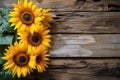 sunflowers on rustic wooden background many wooden slats Royalty Free Stock Photo