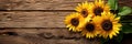 sunflowers on rustic wooden background many wooden slats Royalty Free Stock Photo