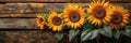 sunflowers on rustic wooden background many wooden slats Royalty Free Stock Photo