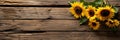 sunflowers on rustic wooden background many wooden slats Royalty Free Stock Photo