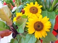 Sunflowers on sale in the streetrmarket