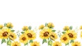 Sunflowers Seamless Border, Watercolor Sunflowers Arrangement, Hand Painted Sunflowers Bouuqet on white background