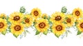 Sunflowers Seamless Border, Watercolor Sunflowers Arrangement, Hand Painted Sunflowers Bouuqet on white background