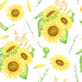 Sunflowers seamless pattern. Hand painted watercolor bouquets with yellow flowers and wheat spikelets illustration Royalty Free Stock Photo