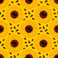 Sunflowers seamless pattern, Sunflowers and sunflower seeds, Bright repeat yellow sunflowers background. Vector Royalty Free Stock Photo