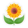 Sunflowers spring or springtime single isolated icon with sticker outline cut style