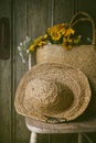 Sunflowers in straw purse on chair Royalty Free Stock Photo