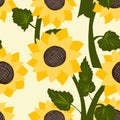 Sunflowers, stylized floral pattern. Royalty Free Stock Photo