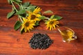 Sunflowers, sunflower oil in a glass gravy boat, handful of sunflower seeds. Royalty Free Stock Photo