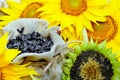 Sunflowers and sunflower seeds Royalty Free Stock Photo