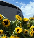 Sunflowers and Van Gogh museum Royalty Free Stock Photo