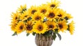Sunflowers in a vase Royalty Free Stock Photo
