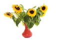 Sunflowers in vase