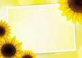 Sunflowers vector background