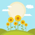 Sunflowers vector illustration design