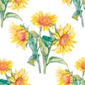 Sunflowers vector pattern watercolor.