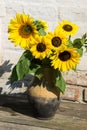 Sunflowers in vintage clay jug on wooden table Royalty Free Stock Photo