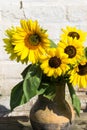 Sunflowers in vintage clay jug on wooden table Royalty Free Stock Photo