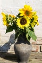 Sunflowers in vintage clay jug on wooden table Royalty Free Stock Photo