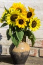 Sunflowers in vintage clay jug on wooden table Royalty Free Stock Photo