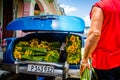 Sunflowers for Virgen de la Caridad, the Patroness of Cuba