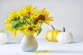 Sunflowers in white ceramic vase with pumpkins on background. Summer, autuumn bouquet Royalty Free Stock Photo