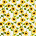 Sunflowers on white pale background seamless pattern