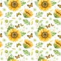 Sunflowers white roses and chrysanthemums - floral seamless pattern.