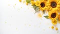 sunflowers white and yellow background Royalty Free Stock Photo