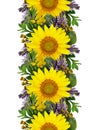 Sunflowers and wild flowers seamless garland Royalty Free Stock Photo