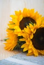 Sunflowers on a wood and rustic background Royalty Free Stock Photo