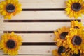 Sunflowers on wood slat background