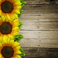 Sunflowers on wooden background