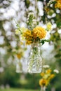 Sunflowers and yellow blum flowers with rustic decoration Royalty Free Stock Photo